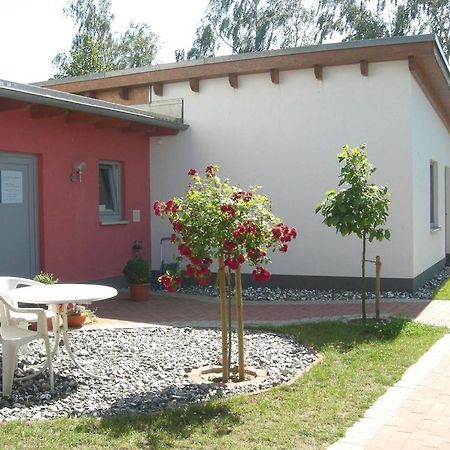 Barrierefreie Ferienwohnung Sonne Auf Ruegen Breege Exteriör bild