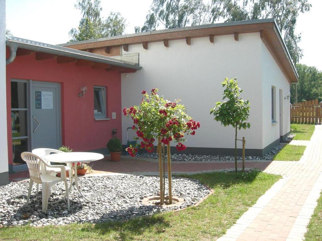 Barrierefreie Ferienwohnung Sonne Auf Ruegen Breege Exteriör bild